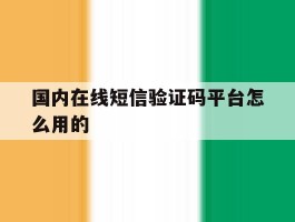 国内在线短信验证码平台怎么用的
