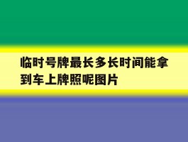 临时号牌最长多长时间能拿到车上牌照呢图片
