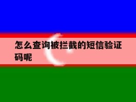 怎么查询被拦截的短信验证码呢