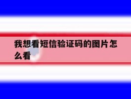 我想看短信验证码的图片怎么看