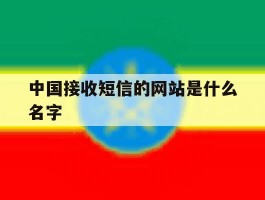中国接收短信的网站是什么名字