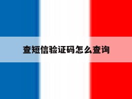 查短信验证码怎么查询