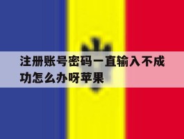 注册账号密码一直输入不成功怎么办呀苹果