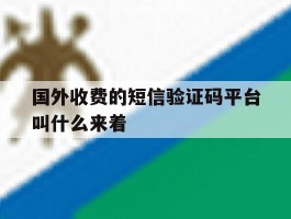 国外收费的短信验证码平台叫什么来着