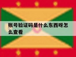 账号验证码是什么东西呀怎么查看