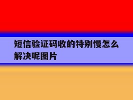 短信验证码收的特别慢怎么解决呢图片