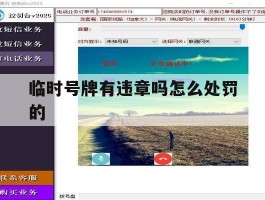 临时号牌有违章吗怎么处罚的