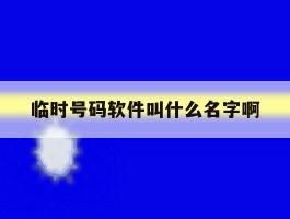 临时号码软件叫什么名字啊