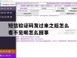 短信验证码发过来之后怎么看不见呢怎么回事