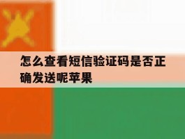 怎么查看短信验证码是否正确发送呢苹果