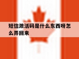 短信激活码是什么东西呀怎么弄回来