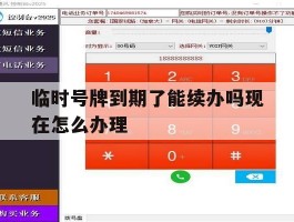 临时号牌到期了能续办吗现在怎么办理