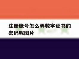 注册账号怎么弄数字证书的密码呢图片