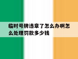 临时号牌违章了怎么办啊怎么处理罚款多少钱