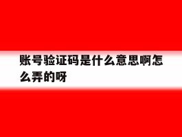 账号验证码是什么意思啊怎么弄的呀的简单介绍