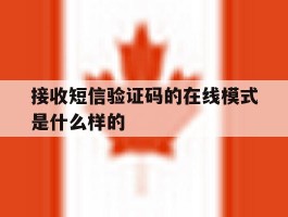 接收短信验证码的在线模式是什么样的