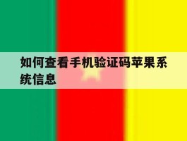 如何查看手机验证码苹果系统信息