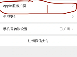 接收短信要扣费吗怎么关闭业务功能呢苹果手机的简单介绍