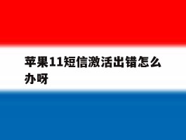 苹果11短信激活出错怎么办呀