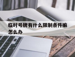 临时号牌有什么限制条件嘛怎么办