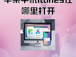 苹果版接码软件有哪些好用