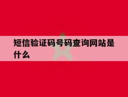 短信验证码号码查询网站是什么