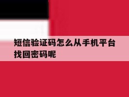 短信验证码怎么从手机平台找回密码呢