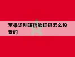苹果识别短信验证码怎么设置的