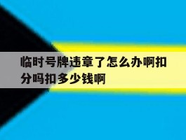 临时号牌违章了怎么办啊扣分吗扣多少钱啊的简单介绍