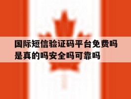 国际短信验证码平台免费吗是真的吗安全吗可靠吗的简单介绍
