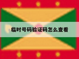 临时号码验证码怎么查看