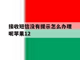 接收短信没有提示怎么办理呢苹果12