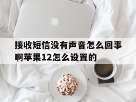 接收短信没有声音怎么回事啊苹果12怎么设置的