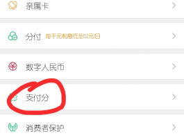 接码如何使用微信支付方式付款