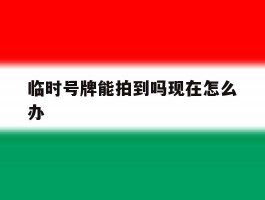 临时号牌能拍到吗现在怎么办