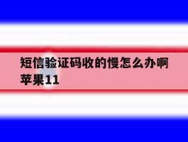 短信验证码收的慢怎么办啊苹果11