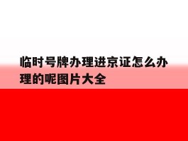临时号牌办理进京证怎么办理的呢图片大全