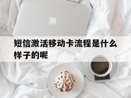 包含短信激活移动卡流程是什么样子的呢的词条