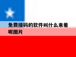 免费接码的软件叫什么来着呢图片