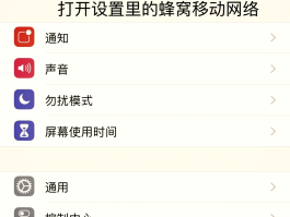 接码的手机号能打通吗怎么打不出去呢苹果