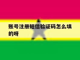 账号注册短信验证码怎么填的呀