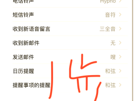 怎么取消ipad接收短信的声音提醒