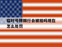 临时号牌限行会被拍吗现在怎么处罚