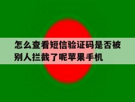 关于怎么查看短信验证码是否被别人拦截了呢苹果手机的信息