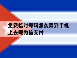 免费临时号码怎么弄到手机上去呢微信支付