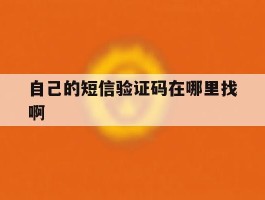 自己的短信验证码在哪里找啊