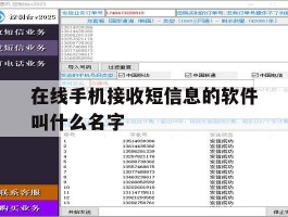 在线手机接收短信息的软件叫什么名字