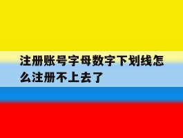 注册账号字母数字下划线怎么注册不上去了