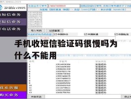 手机收短信验证码很慢吗为什么不能用