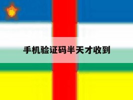 手机验证码半天才收到